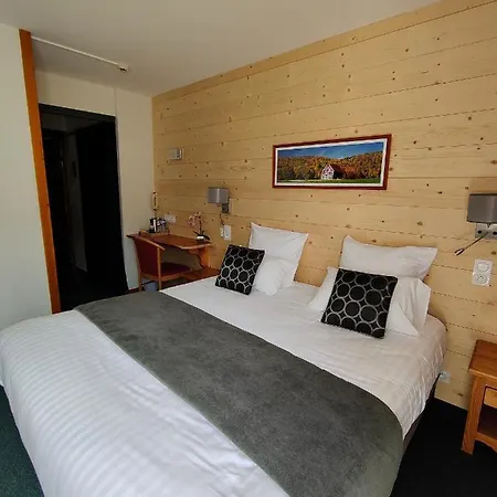 Hotel Logis Les Playes 3*