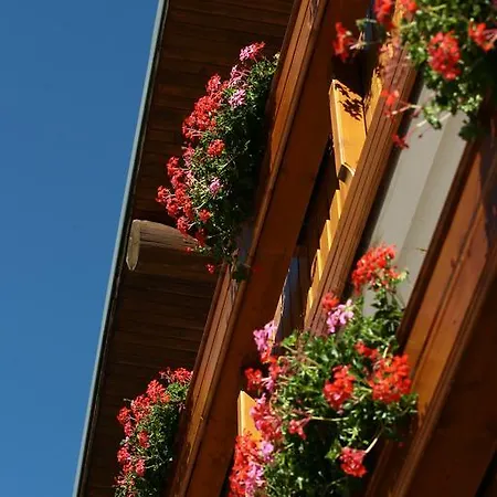 Hotel Logis Les Playes 3*