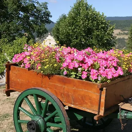Hotel Logis Les Playes Villard-de-Lans